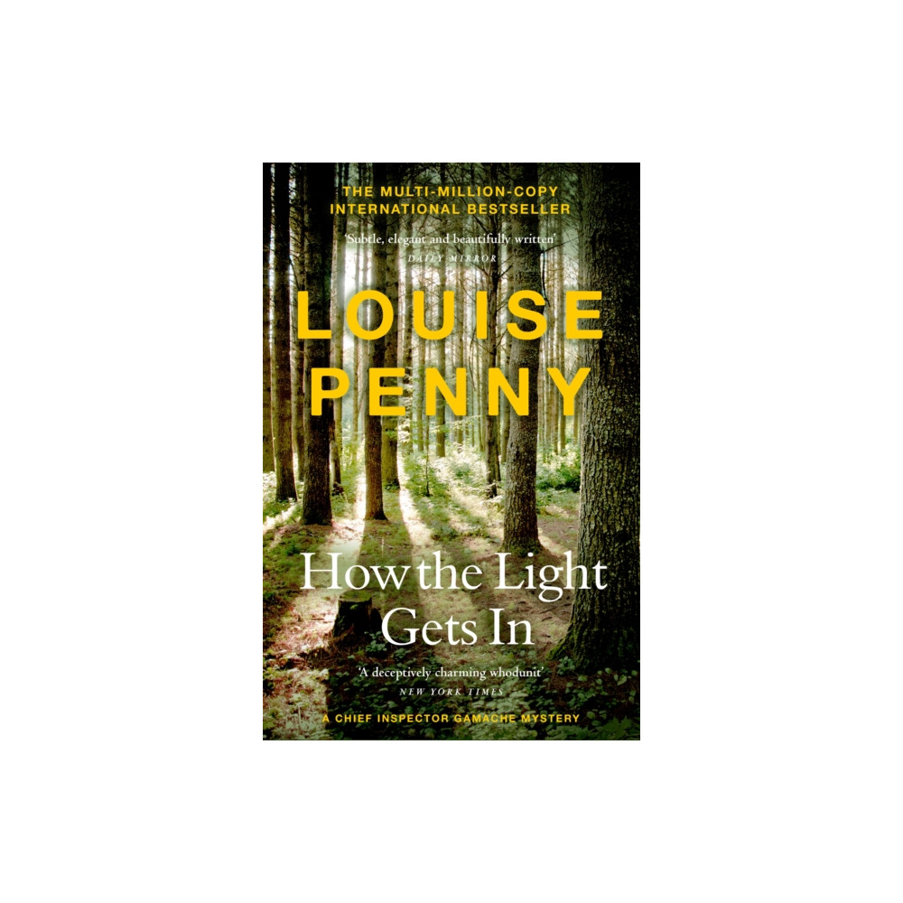 Produktbild för How The Light Gets In (häftad, eng)