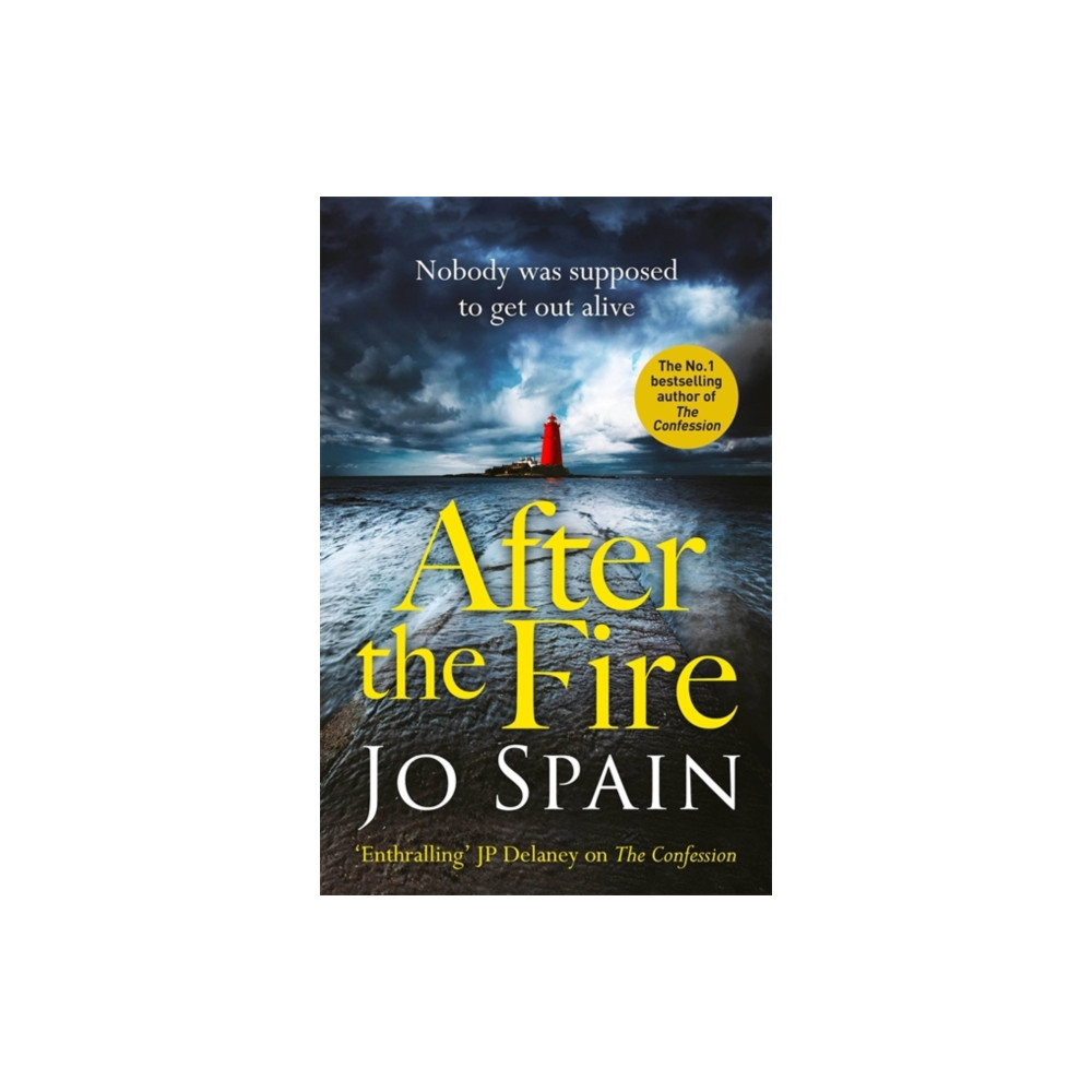 Produktbild för After the Fire (häftad, eng)