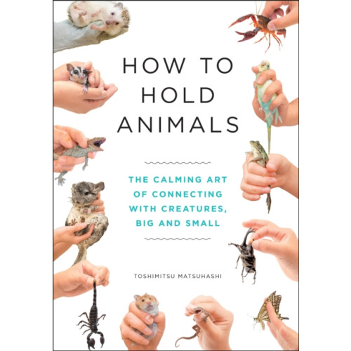 Quercus Publishing How to Hold Animals (inbunden, eng)