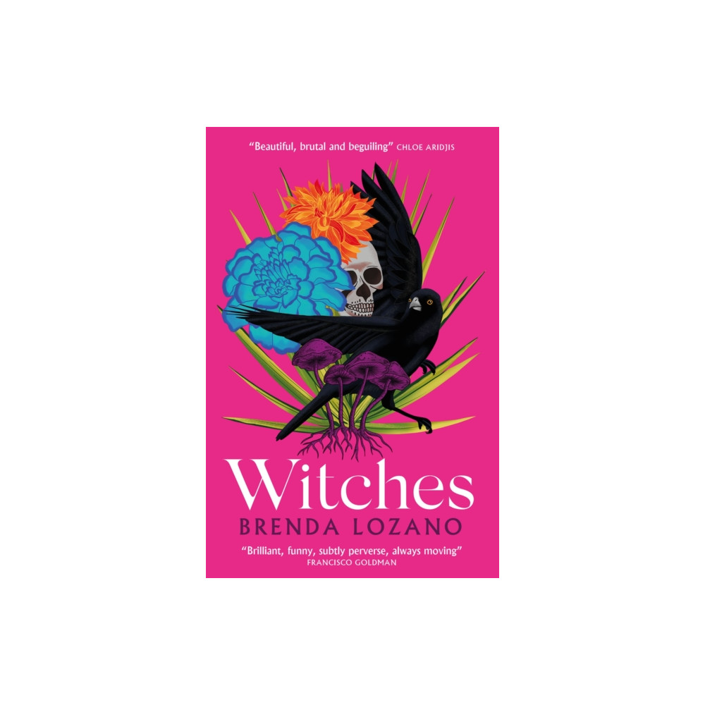 Produktbild för Witches (häftad, eng)