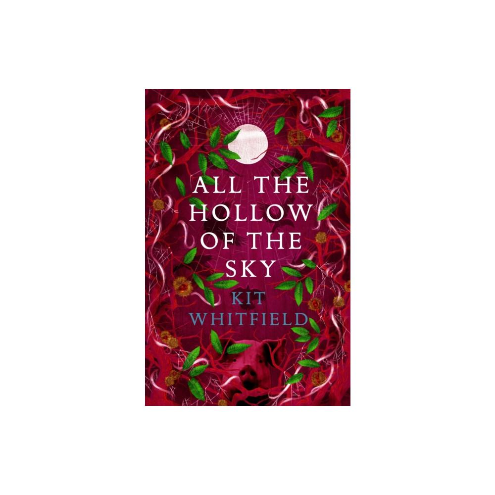Produktbild för All the Hollow of the Sky (häftad, eng)