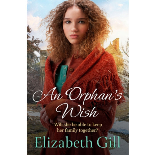 Quercus Publishing An Orphan's Wish (inbunden, eng)