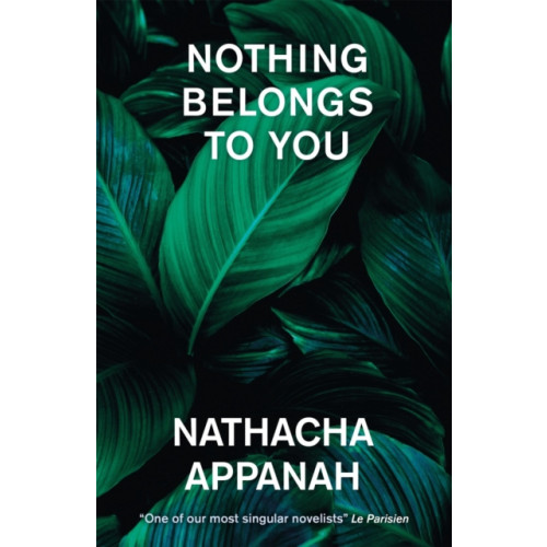 Quercus Publishing Nothing Belongs to You (häftad, eng)