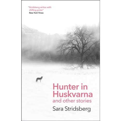 Quercus Publishing Hunter in Huskvarna (häftad, eng)