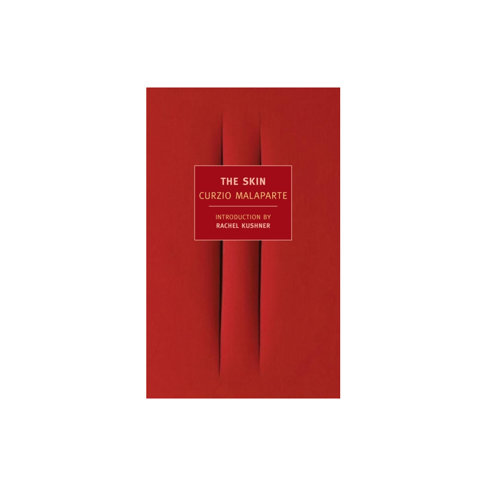 Produktbild för The Skin (häftad, eng)