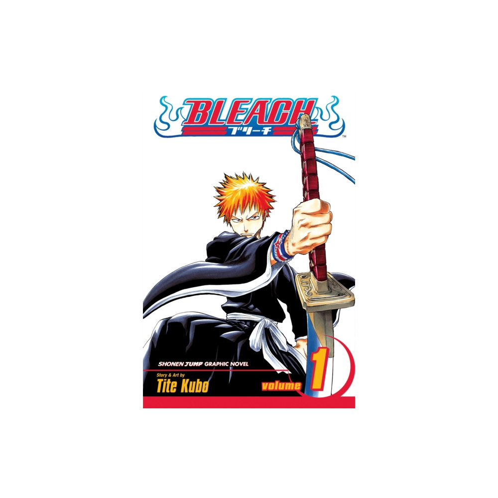 Produktbild för Bleach, Vol. 1 (häftad, eng)