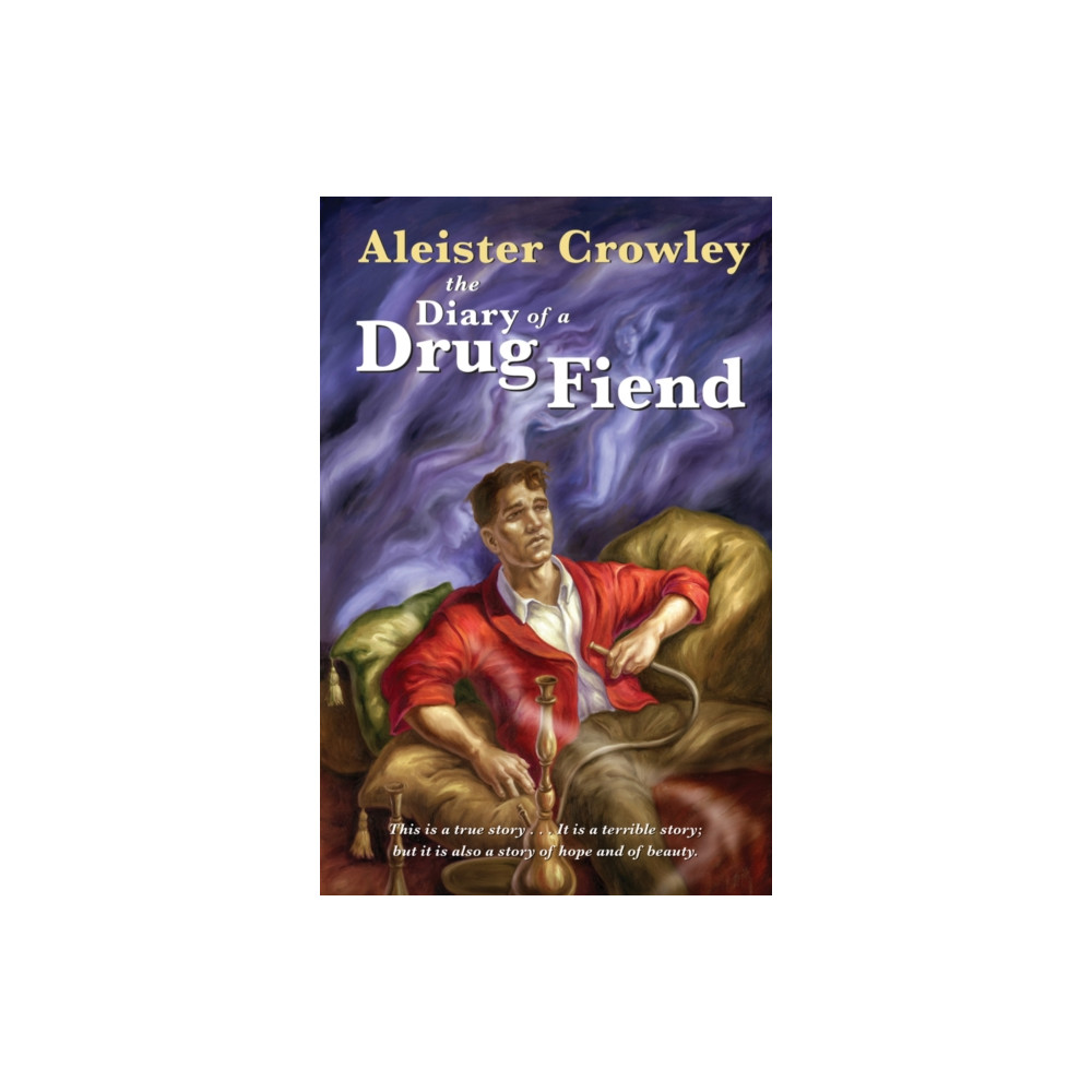 Produktbild för Diary of a Drug Fiend (häftad, eng)