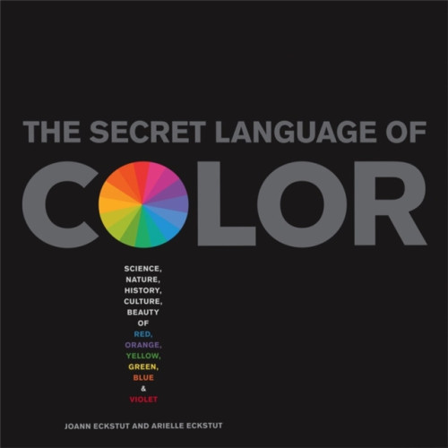 Black Dog & Leventhal Publishers Inc The Secret Language Of Color (inbunden, eng)