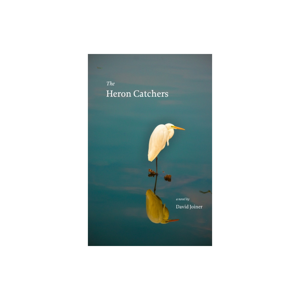 Produktbild för The Heron Catchers (häftad, eng)