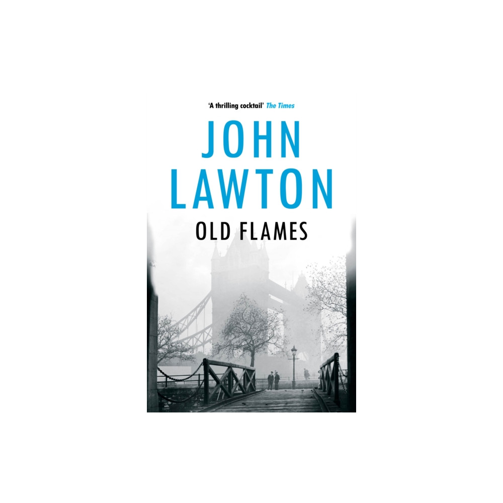 Produktbild för Old Flames (häftad, eng)