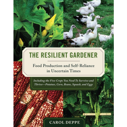 Chelsea Green Publishing Co The Resilient Gardener (häftad, eng)