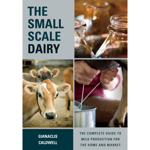 Chelsea Green Publishing Co The Small-Scale Dairy (häftad, eng)