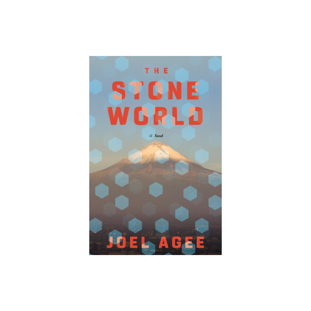 Produktbild för The Stone World (inbunden, eng)