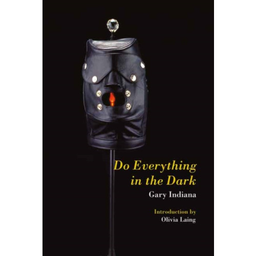 Semiotext (E) Do Everything in the Dark (häftad, eng)