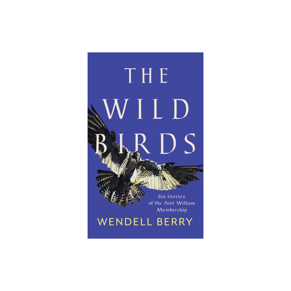 Produktbild för The Wild Birds (häftad, eng)