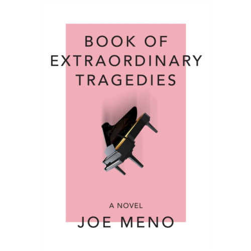 Akashic Books,U.S. Book Of Extraordinary Tragedies (häftad, eng)