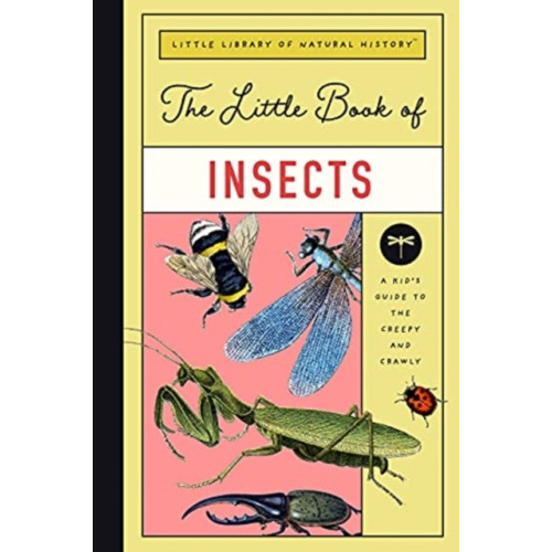 GLOBAL PUBLISHER SERVICES LITTLE BOOK OF INSECTS (inbunden, eng)