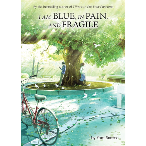 Seven Seas Entertainment, LLC I am Blue, in Pain, and Fragile (Light Novel) (häftad, eng)