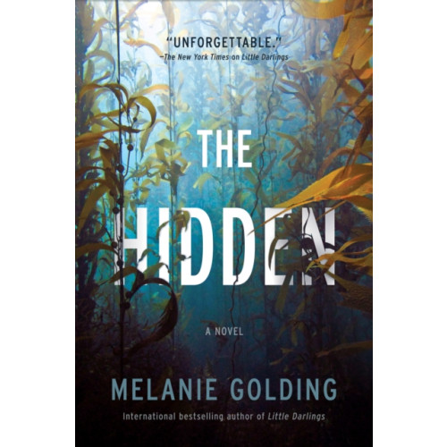 Crooked Lane Books Hidden (häftad, eng)