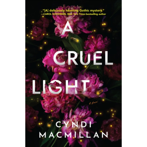 Crooked Lane Books A Cruel Light (inbunden, eng)