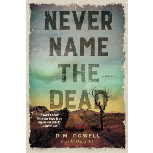 Crooked Lane Books Never Name The Dead (häftad, eng)