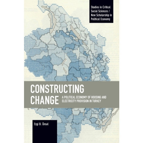 Haymarket Books Constructing Change (häftad, eng)