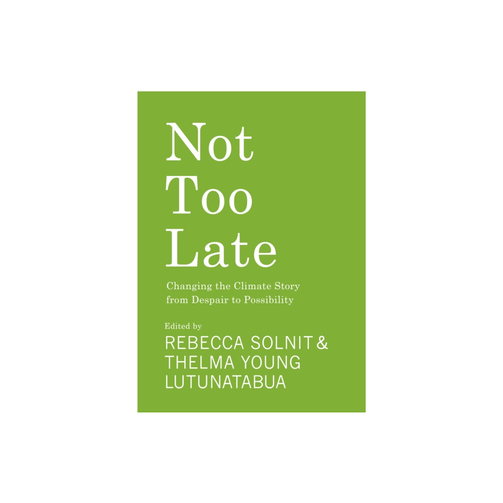 Produktbild för Not Too Late (häftad, eng)