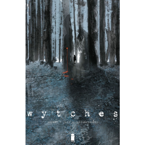 Image Comics Wytches Volume 1 (häftad, eng)