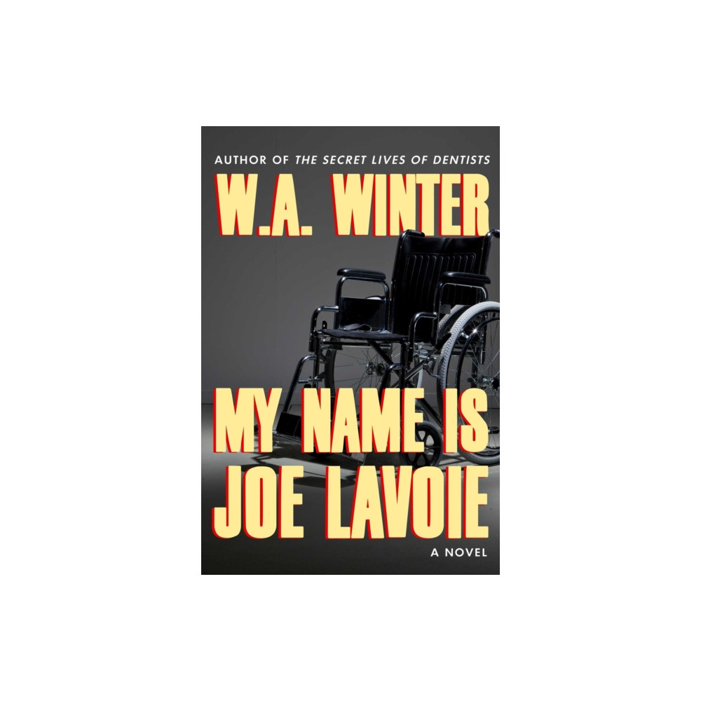 Produktbild för My Name Is Joe Lavoie (häftad, eng)