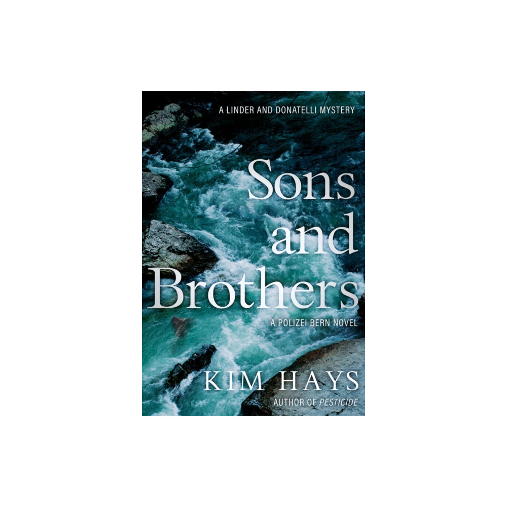 Produktbild för Sons & Brothers (häftad, eng)