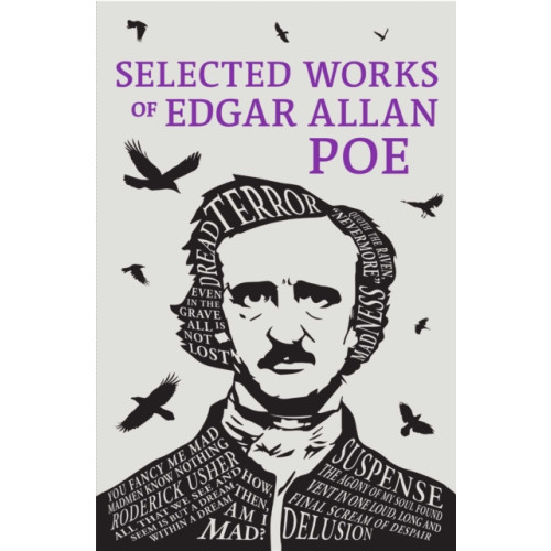 Canterbury Classics Selected Works of Edgar Allan Poe (häftad, eng)
