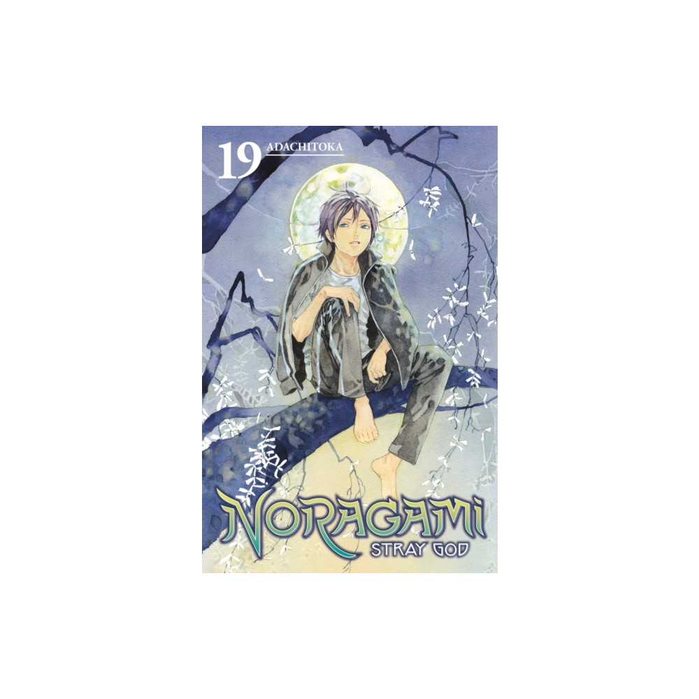 Produktbild för Noragami: Stray God 19 (häftad, eng)