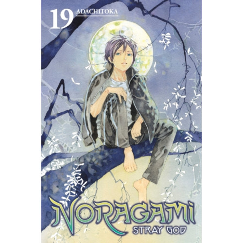 Kodansha America, Inc Noragami: Stray God 19 (häftad, eng)