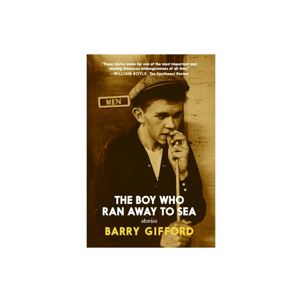 Produktbild för The Boy Who Ran Away to Sea (häftad, eng)