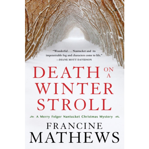 Soho Press Death On A Winter Stroll (häftad, eng)