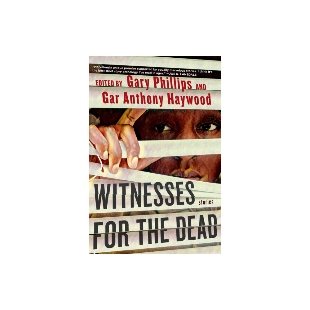 Produktbild för Witnesses For The Dead: Stories (häftad, eng)