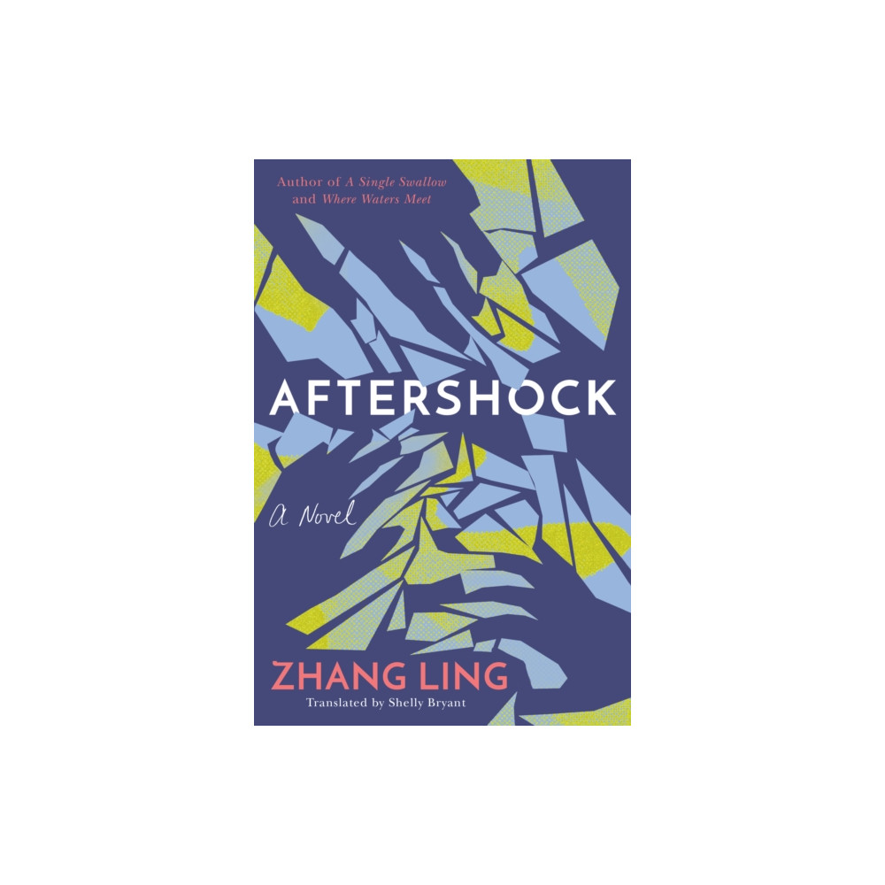 Produktbild för Aftershock (häftad, eng)