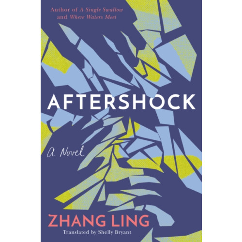 Amazon Publishing Aftershock (häftad, eng)