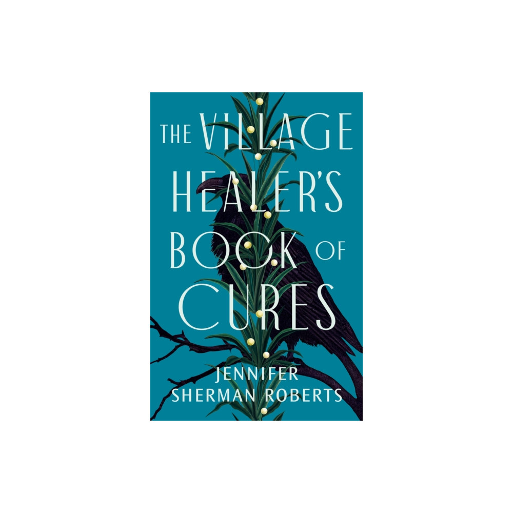 Produktbild för The Village Healer's Book of Cures (häftad, eng)