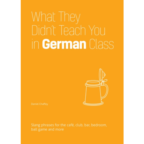 Ulysses Press What They Didn't Teach You In German Class (häftad, eng)