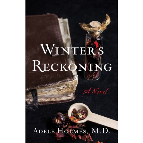 She Writes Press Winter's Reckoning (häftad, eng)