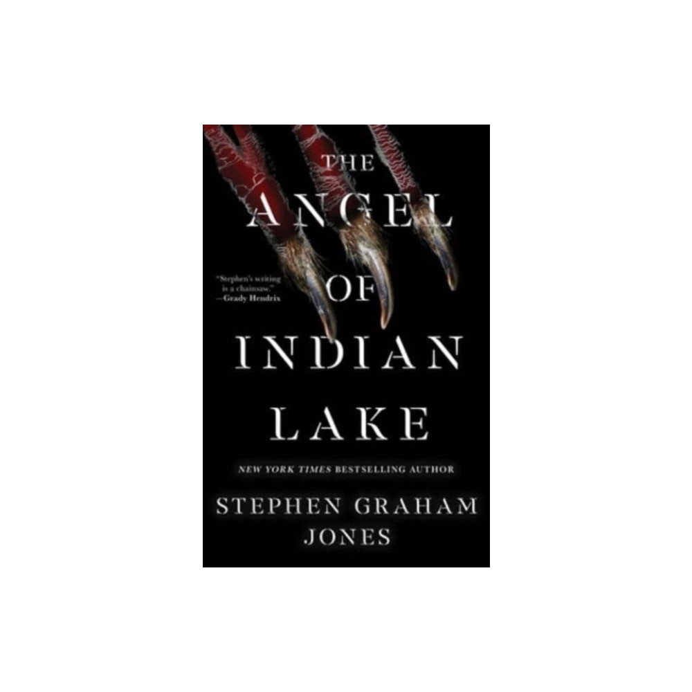 Produktbild för The Angel of Indian Lake (inbunden, eng)