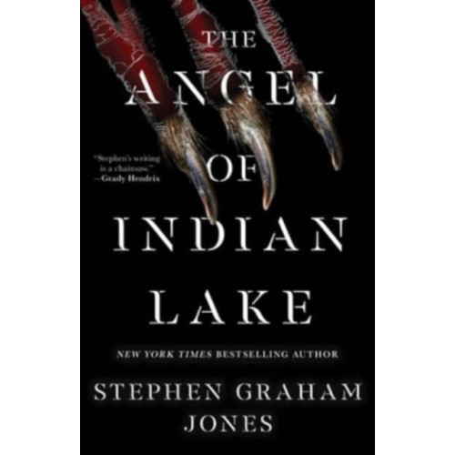 S&S/Saga Press The Angel of Indian Lake (inbunden, eng)