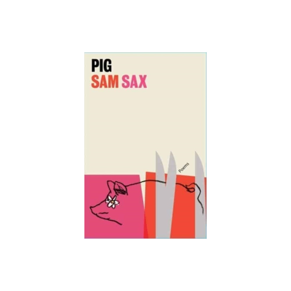 Produktbild för Pig (häftad, eng)