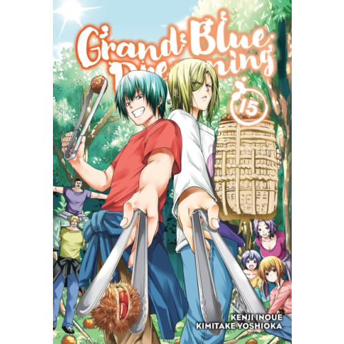 Kodansha America, Inc Grand Blue Dreaming 15 (häftad, eng)