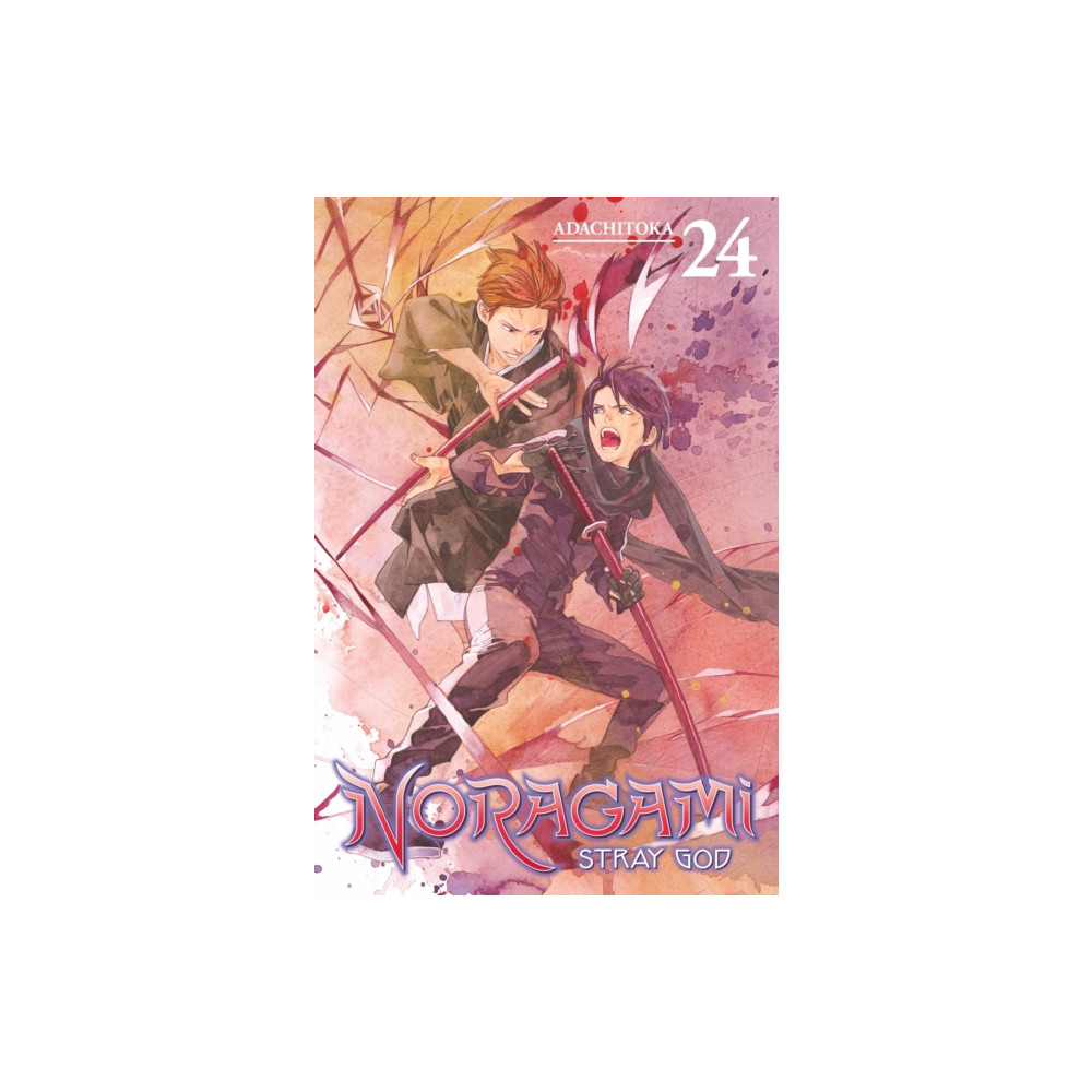 Produktbild för Noragami: Stray God 24 (häftad, eng)