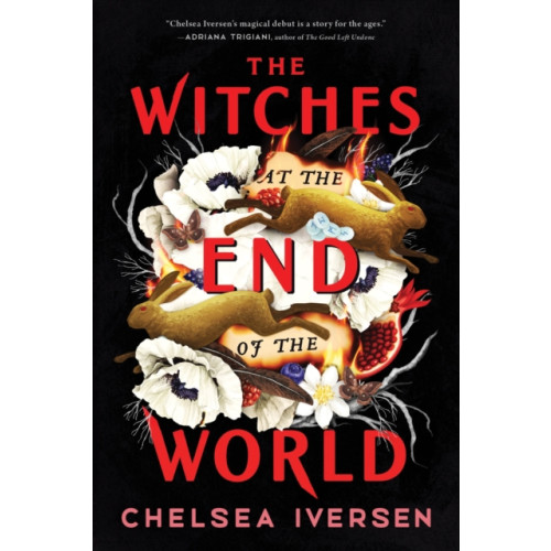 Sourcebooks, Inc The Witches at the End of the World (häftad, eng)