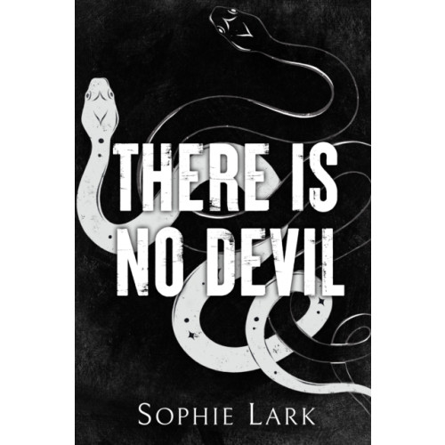 Sourcebooks, Inc There Is No Devil (häftad, eng)