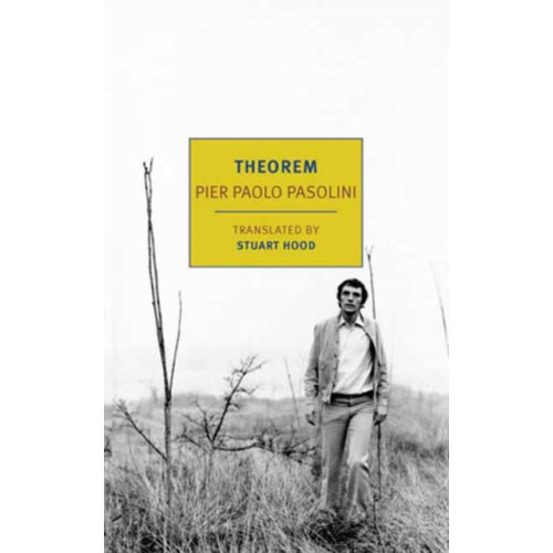New York Review Books Theorem (häftad, eng)