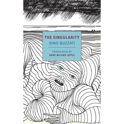 The New York Review of Books, Inc The Singularity (häftad, eng)